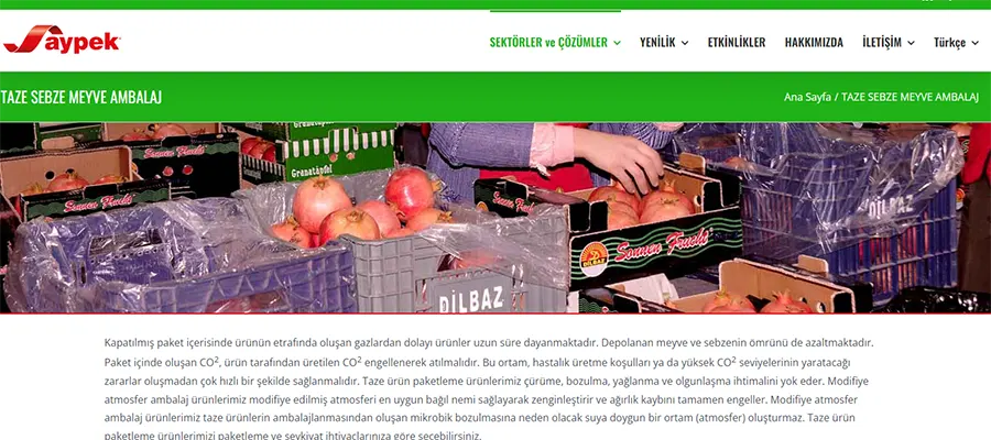 Aypek Otomotiv Plastik Ltd.Şti. Web Tasarımı